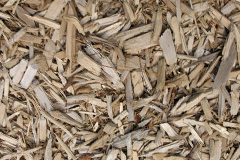biomass boilers Scole